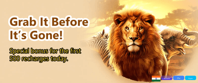 Master the Game of Cricket banner
